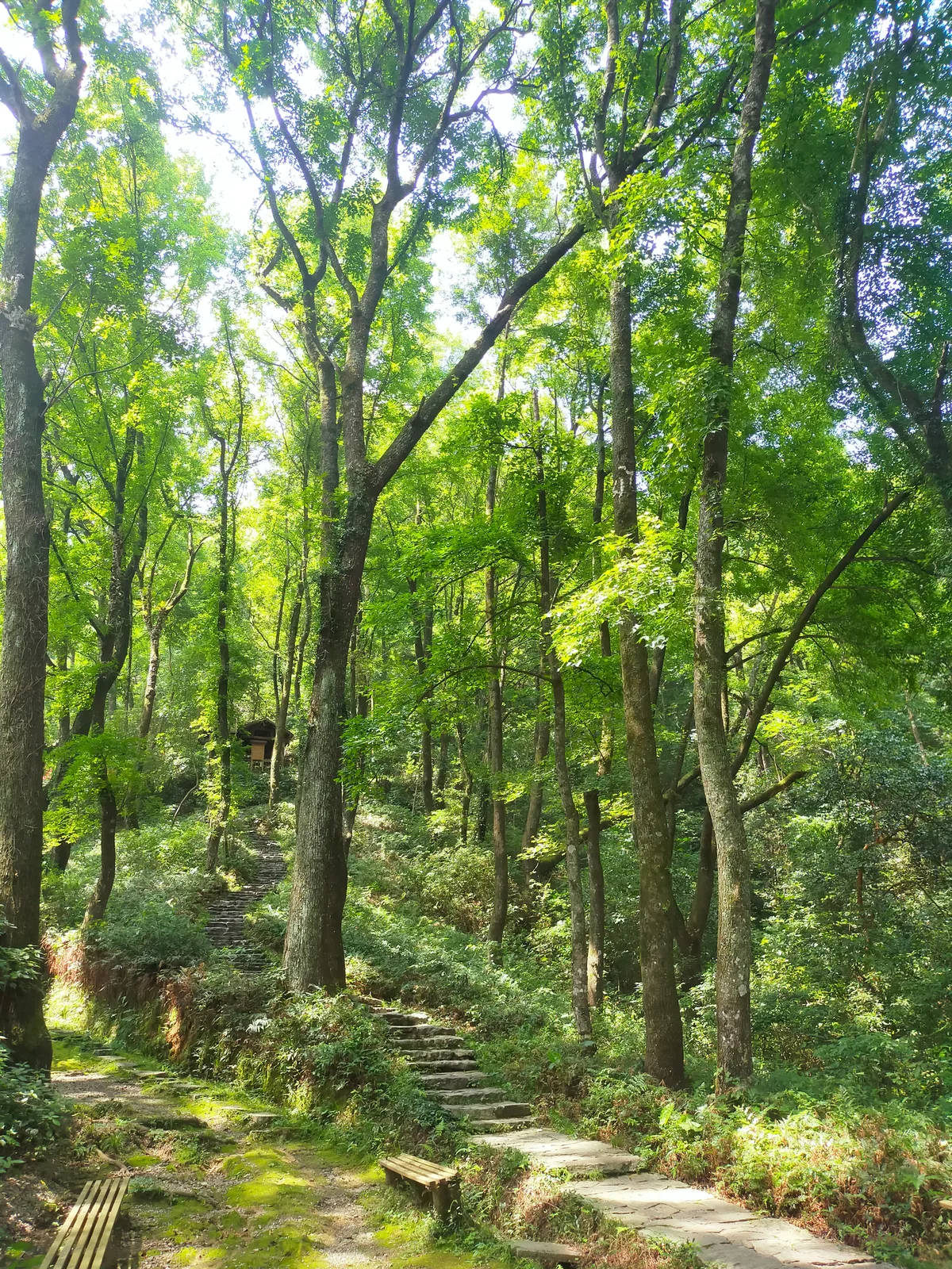 2022.7.14-16 桂林山水 5
