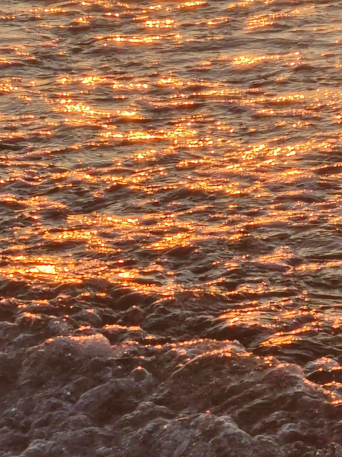 2023.7.11-12 东山岛·sea 15