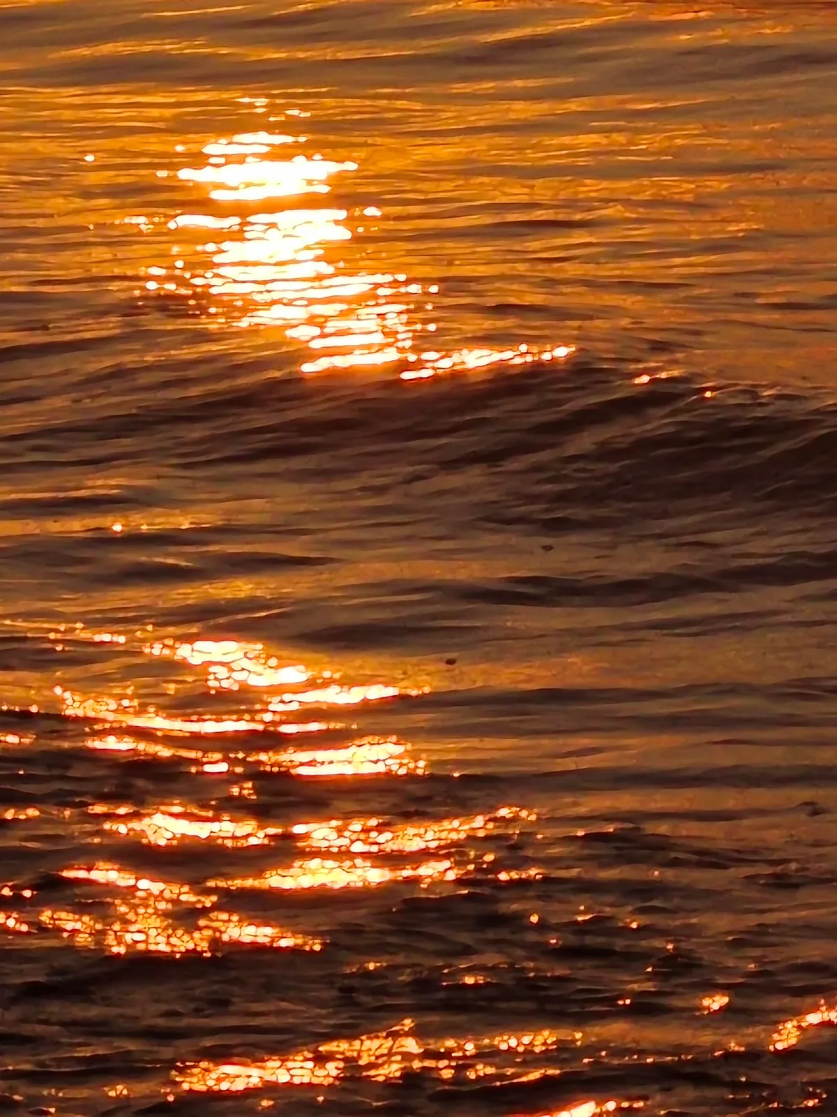 2023.7.11-12 东山岛·sea 16