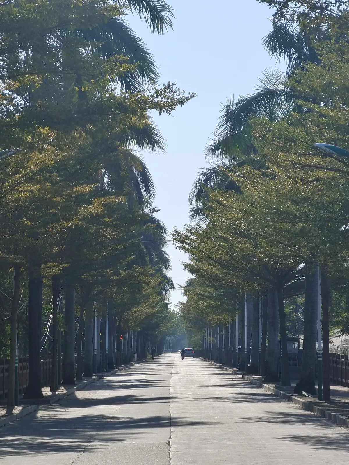 2025.1.27 汕头·on the road 6