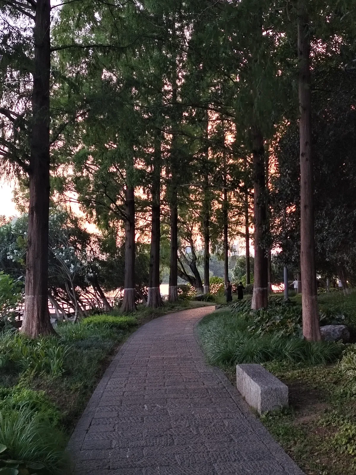 2025.7.5-8 南京·毕业旅行 27