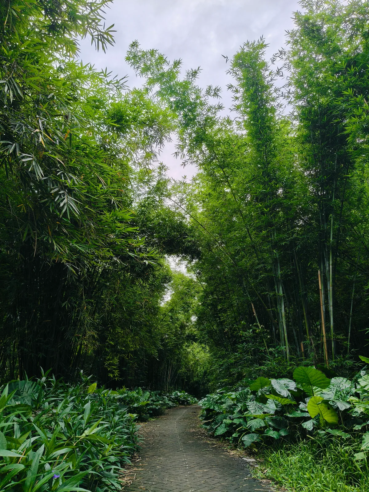 2026.5.18 广州·大学城 3